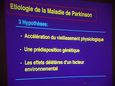 La maladie de Parkinson (M. savasta) - 2008