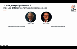 CN1.3 Vieillissement STAPS