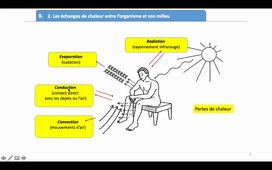 CPP_BIO2A_Cours5B_Thermoregulation