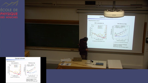Pereira dos Santos #2