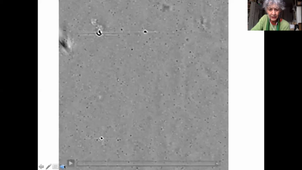 Detection and identification of metal oxide nanoparticles in aquatic environment - M. Boccara; V. Ravet; M.Benedetti; M. Thareaud; C. Boccara