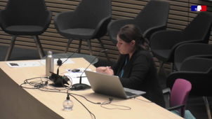 Conférence SIP Pégase - Gwenaelle Audren