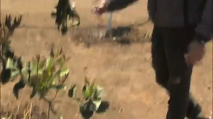 Petorca, el símbolo de la guerra por el agua en Chile.mp4
