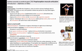 CN Systèmes sensoriels et motricité - Proprioception