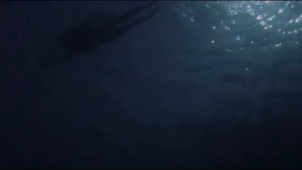 Jaws 5