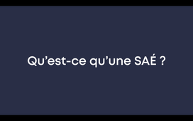 Qu'est-ce qu'une SAÉ ? - Edith Clavel, IUT1, 2021