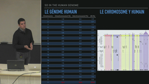 Détection de duplications segmentaires dans l'ADN