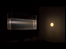 Diffusion de la lumière