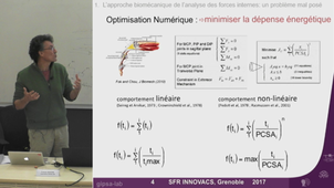 Modélisation biomécanique des systèmes musculosquelettiques sous-déterminés. Estimation des forces musculaires