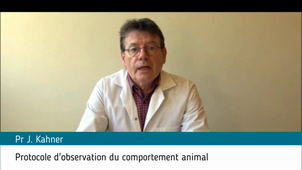 Experimentation animale