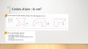 32-Grandeurs-Mesures-Didactique-Aires2