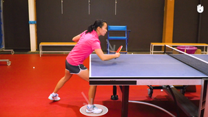 Flip Revers Tennis de table