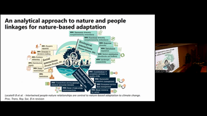 Shaping landscapes for nature-based adaptation to climate change