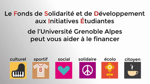 Fonds de Solidarité et de Développement aux Initivatives Étudiantes