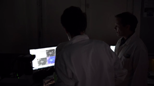 HTTP - Virtual Cell Analysis