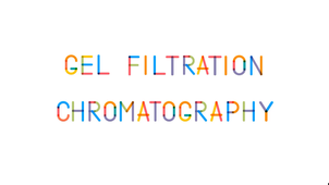 Size exclusion chromatography