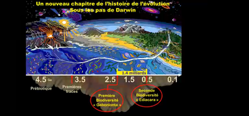 Sous les pieds de Darwin : Co-évolution Vivant versus Environnement