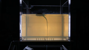 Analog experiment: injection of oil inside gelatin in an heteregeneous stress field