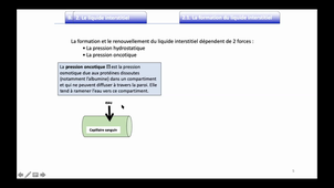 CPP_BIO2A_Cours3_Liquide interstitiel ET lymphe