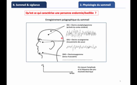 CPP_BIO2A_Cours6B_Sommeil_Part1