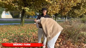 CSR video.mp4