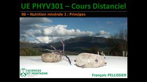 PHYV301 Cours Distanciel - 06 - Nutrition minérale des plantes 1 - Principes