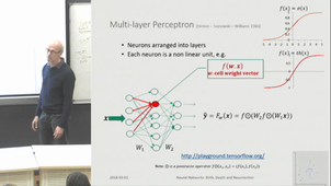 Neural Networks: Birth, Death and Resurrection