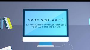 La formation professionnelle tout au long de la vie