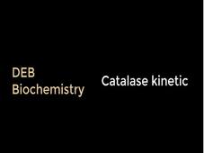Catalase kinetic movie