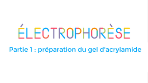 La boite à techniques : Electrophorèse partie 1 préparation du gel d'acrylamide