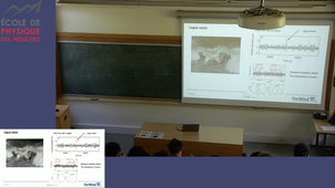 Entropy and cascade 2