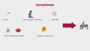 Point Covid-19 - CIBAUD - PARADIS - TICE en santé