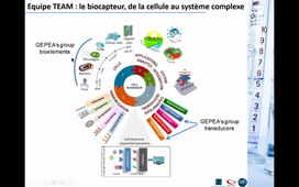 UMR GEPEA - Equipe TEAM IUT, IUT de la Roche sur Yon - ¨Prof Gérald THOUAND