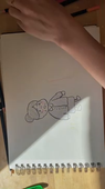 copy_C48E56CB-4BA7-458F-985A-5C9E6805EE1C.mov