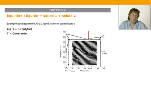 Introduction aux microstructures – 7