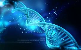 DNA_extraction.mp4
