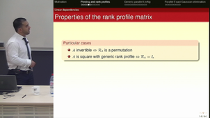 Adaptive and Generic Parallel Exact Linear Algebra