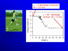 N2_Biomécanique du Saut en Longueur_AB