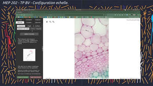 Tutoriel - Mesures au microscope - Étalonnage échelles