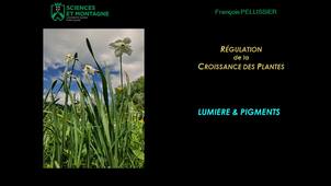 REGU301 - CM - Chapitre 6 - Lumière & Pigments