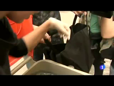 Exemple sujet CLES B2 espagnol - vidéo 2